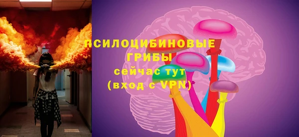 герыч Няндома