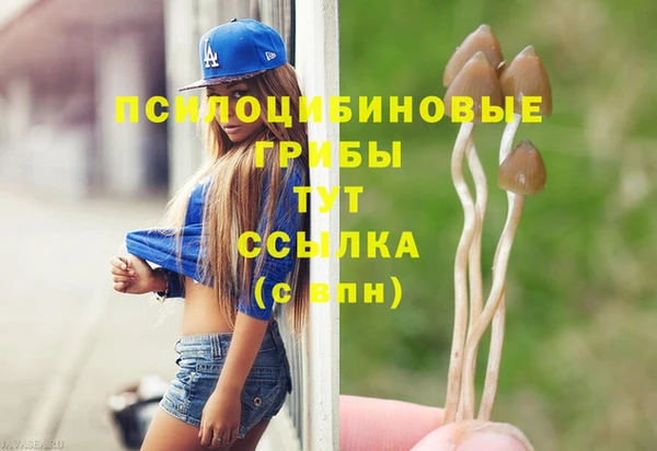твердый Остров