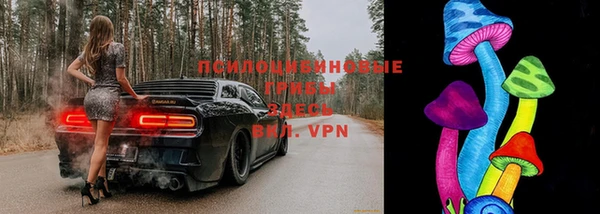спайс Осташков